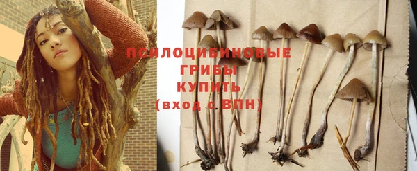 ECSTASY Балахна