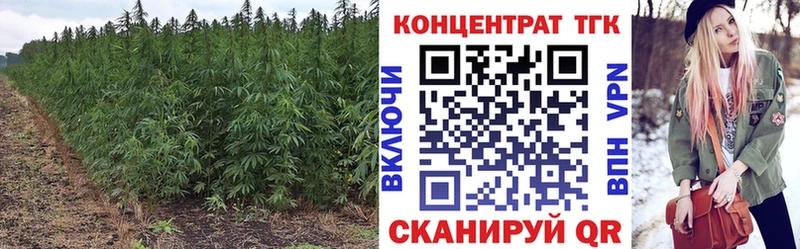 ТГК концентрат  Нижняя Салда 